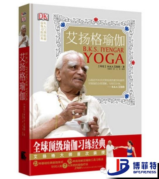 艾揚(yáng)格瑜伽:精準(zhǔn)習(xí)練指南